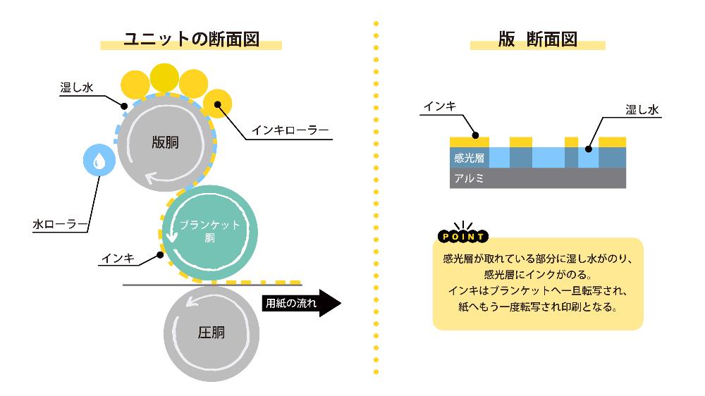 オフセット印刷機の断面図