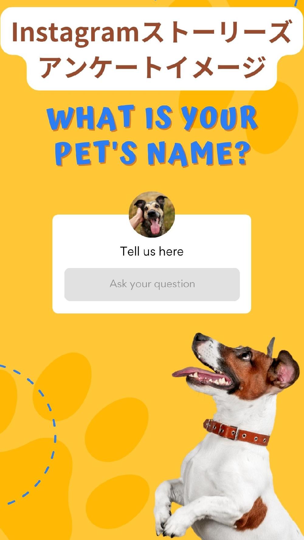 Instagramストーリーズを活用したアンケートイメージ