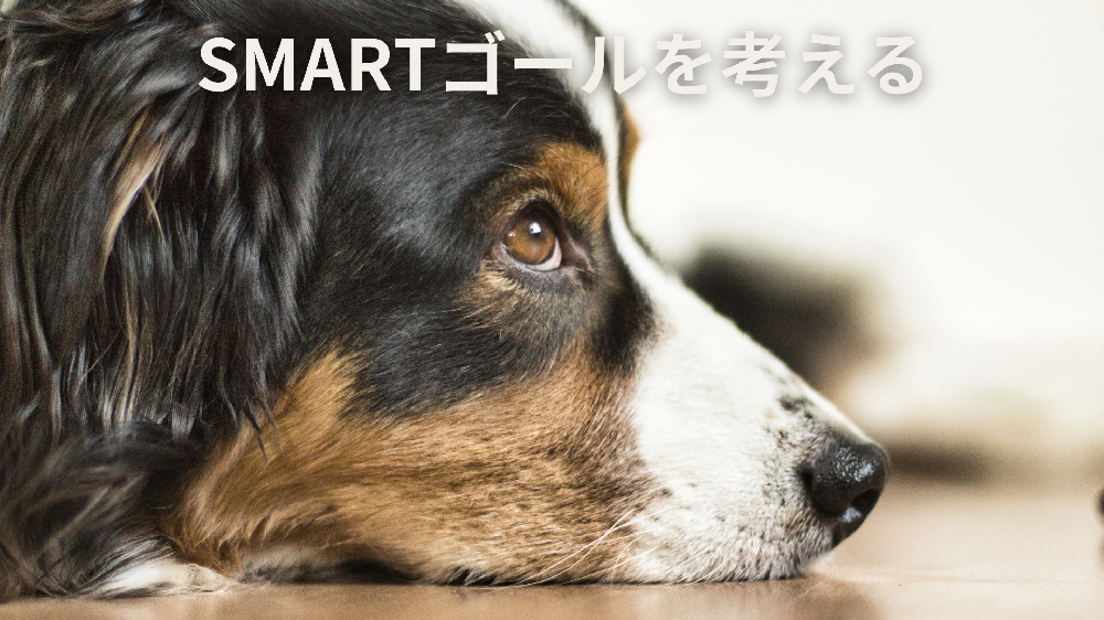 目標設定の重要性を考える