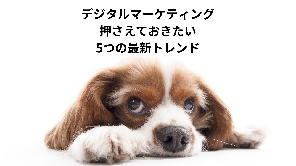 デジタルマーケティング、押さえておきたい5つのトレンド
