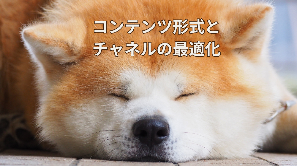 コンテンツの形式とチャンネルの最適化