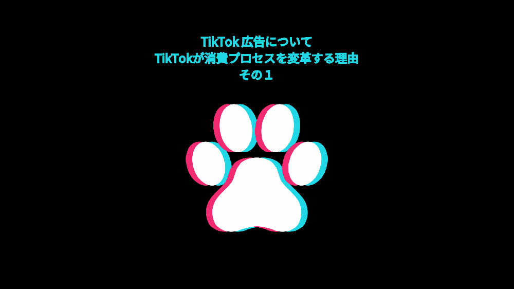 TikTok広告シリーズその1
