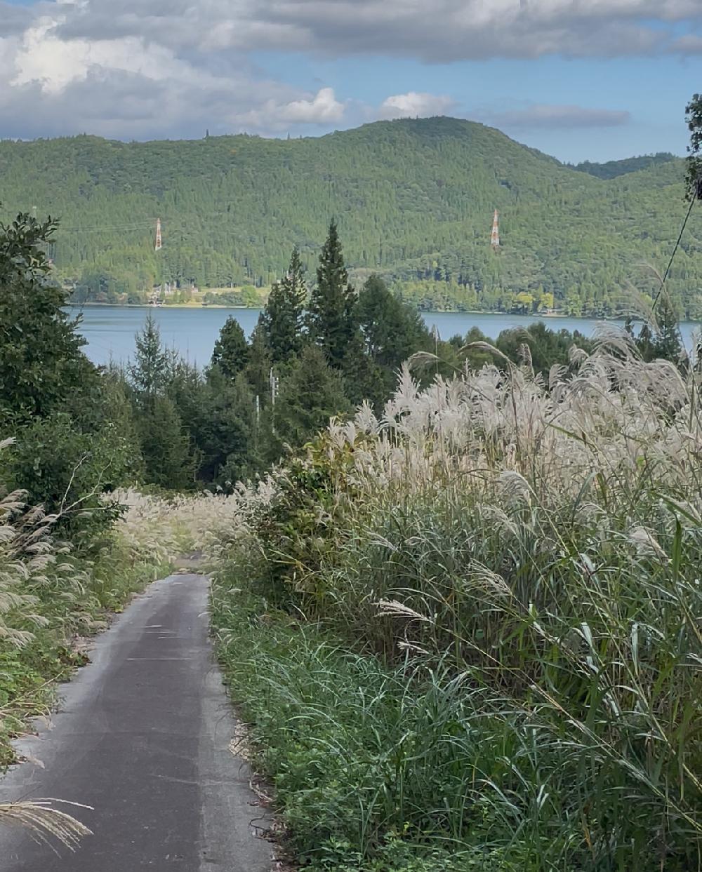 荒廃した青木湖スキー場の様子